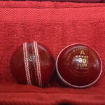 Red Cricket Leather Balls