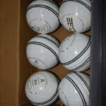 White Cricket Leather Balls