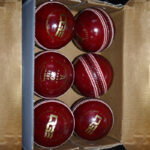 Cricket Leather Test Balls