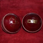 Red Cricket Leather Balls Online