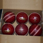 Red Cricket Leather Balls