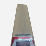 Cricket Bats Buy online