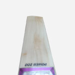 Buy Online English Willow Bats