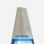 Cricket Bats Online