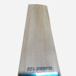 Cricket Store Bats Online