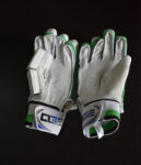 Cricket Shop Batting Gloves
