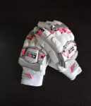 Cricket Batting Gloves