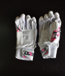 Batting Gloves