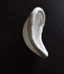 Abdominal Guard Australia