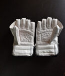 Premium Keeping Gloves in Australia