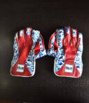 wicket Keeping Gloves