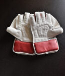 Cricket Keeping Gloves Australia