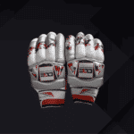 DGE Cricket Gloves