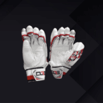 DGE Cricket Gloves
