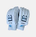 Cricket Batting Gloves