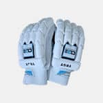 Cricket Batting Gloves